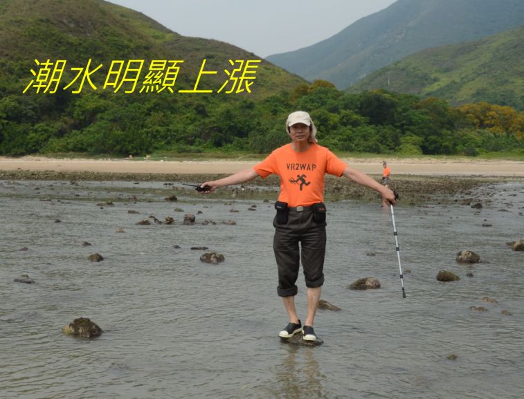 02-075 潮水明顯上漲.jpg