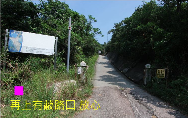 03-050 再上有蔽路囗.jpg