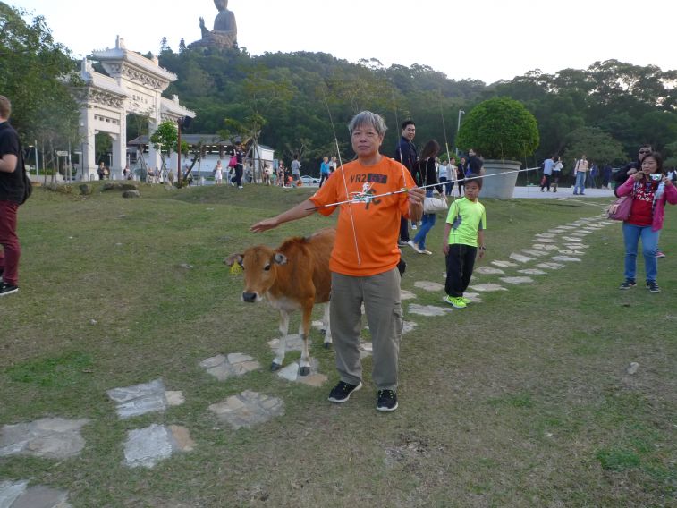 P1480939.JPG