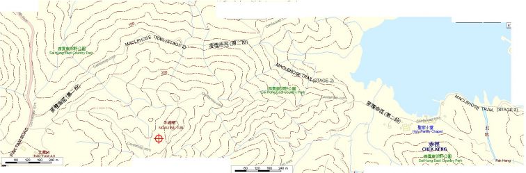 01-981.jpg