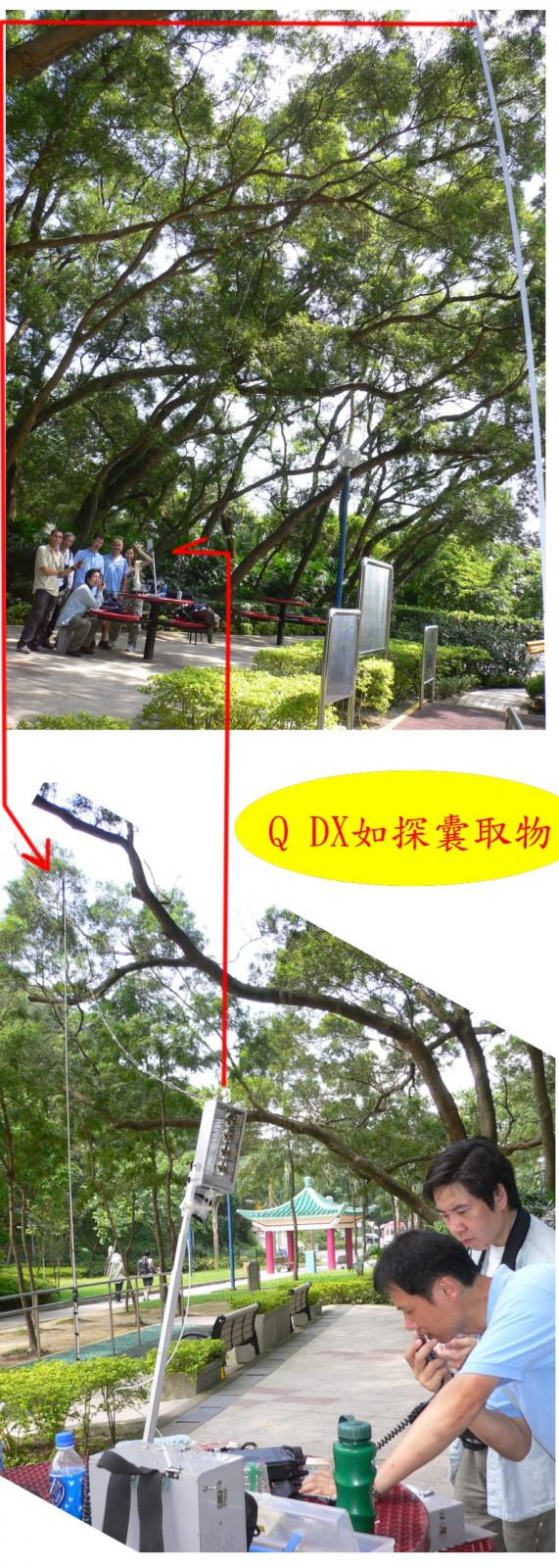 未命名 - 96.jpg