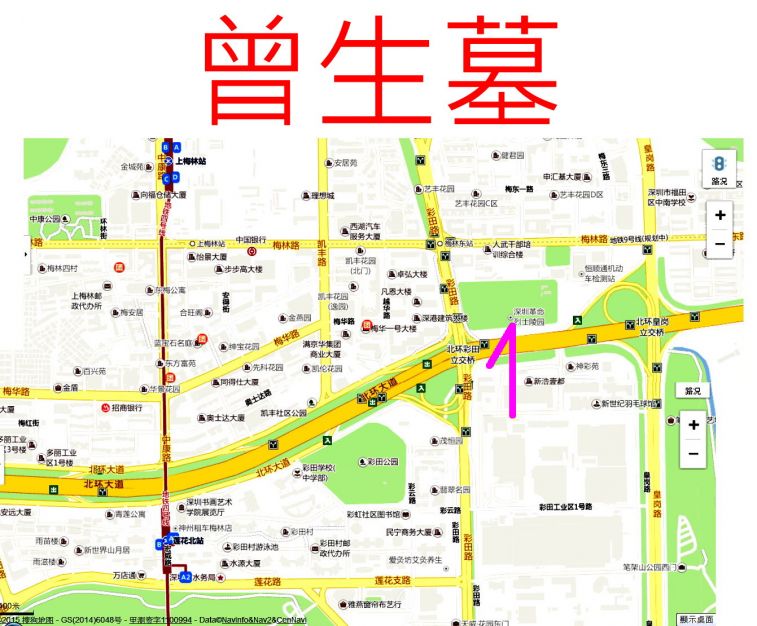 896.jpg
