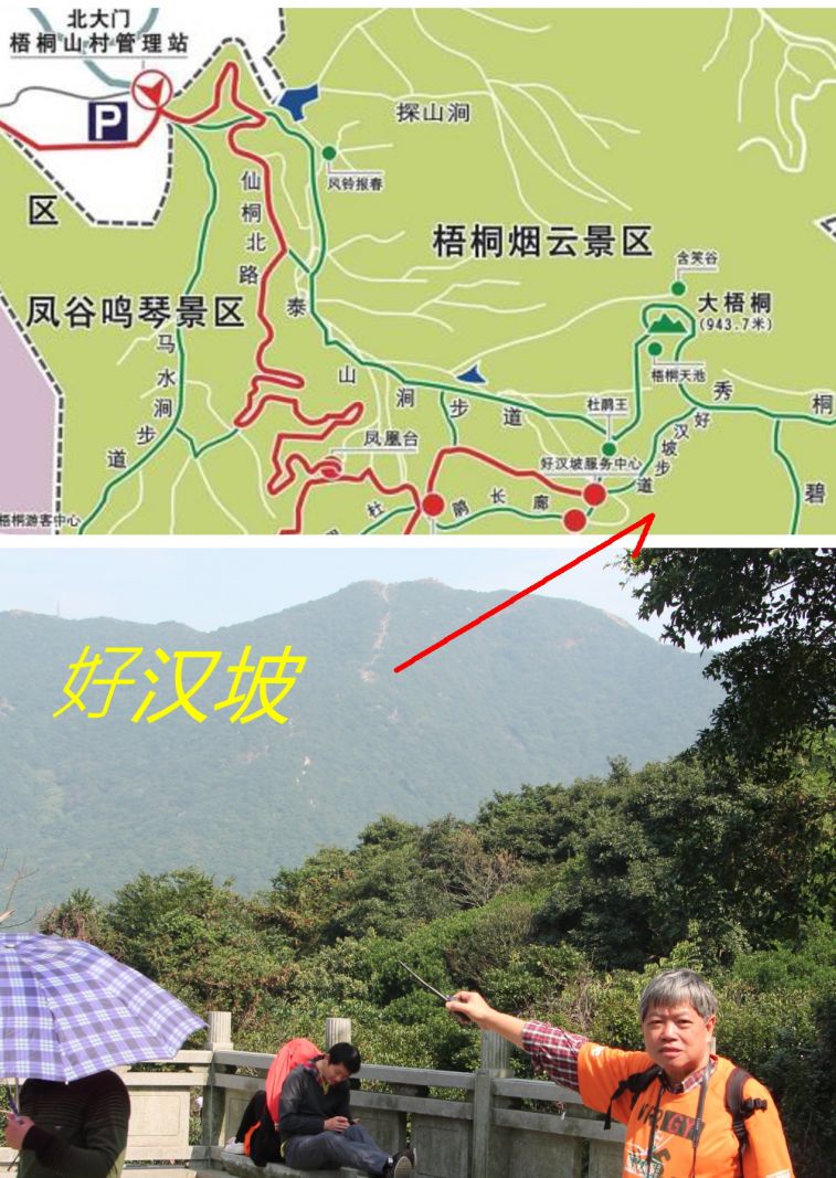 0-950.jpg