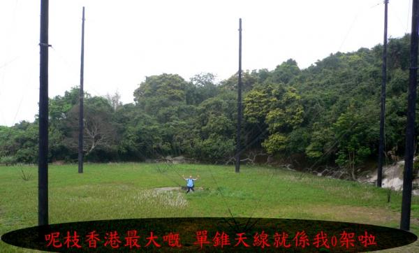 010.JPG