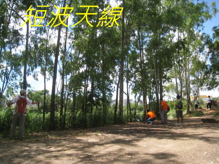 06-045 短波天線.jpg