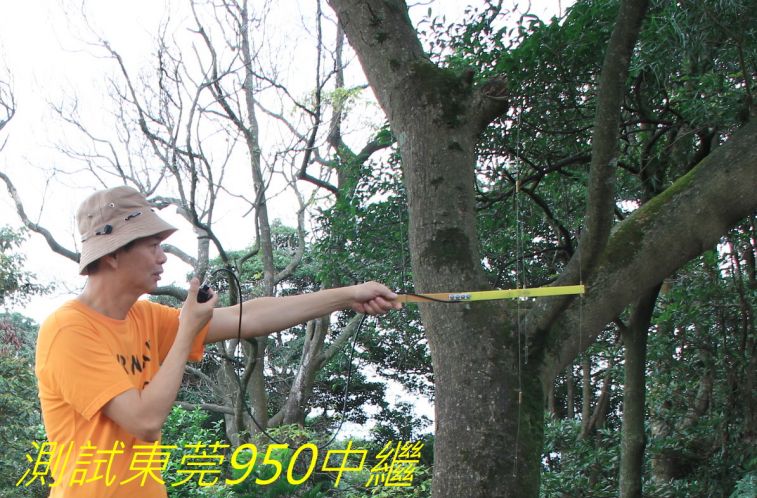 866,,,.jpg