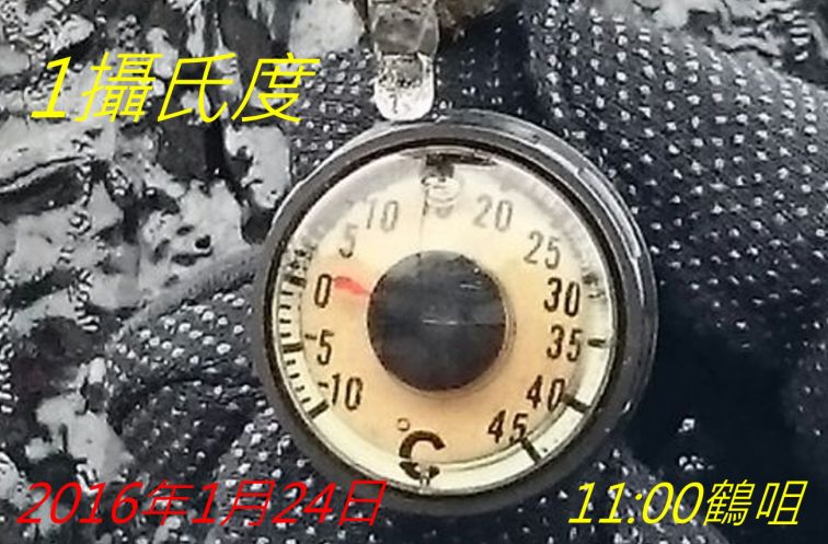 880.jpg