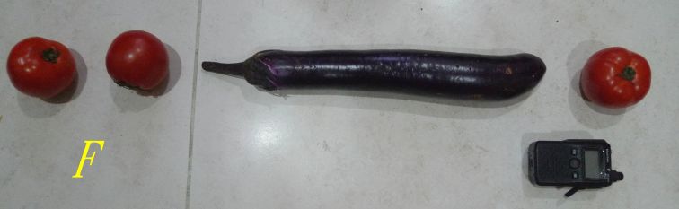 924.jpg