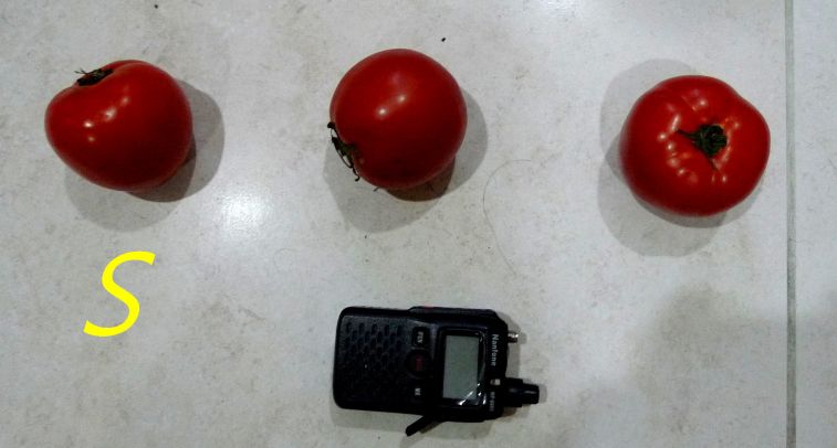929,.jpg