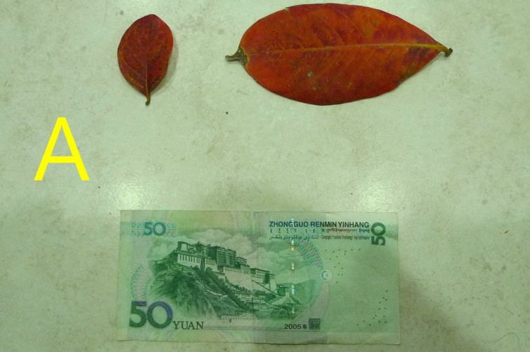 878.jpg