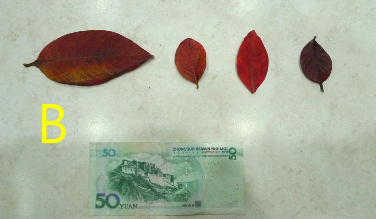 880.jpg