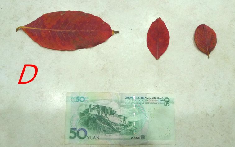 882.jpg