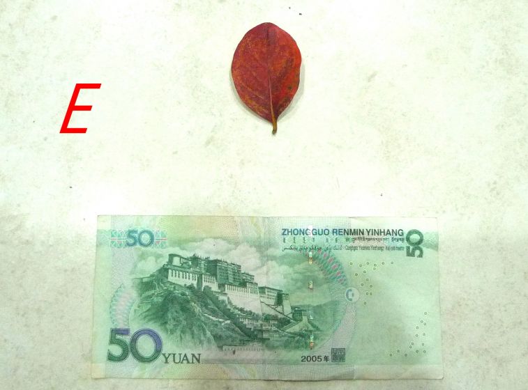 883.jpg