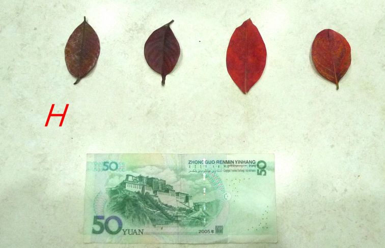 885.jpg