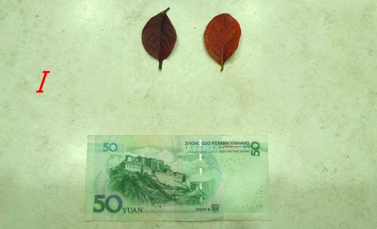 886.jpg