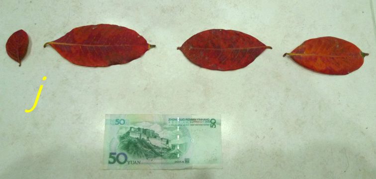 887.jpg