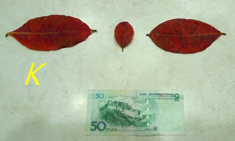 888.jpg