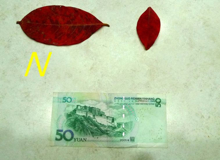 891.jpg