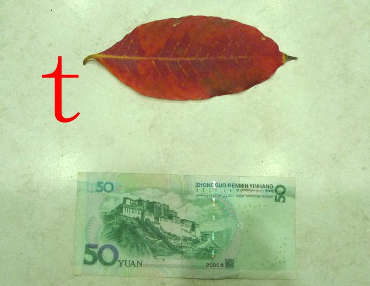 897.jpg