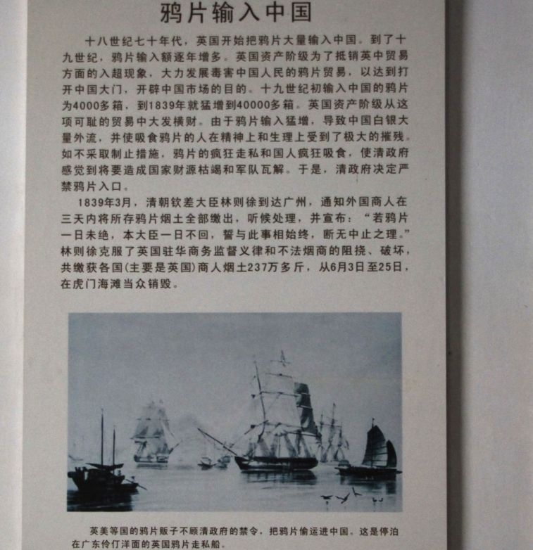 374.jpg