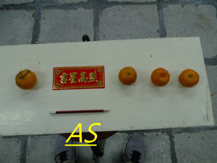 854,.jpg