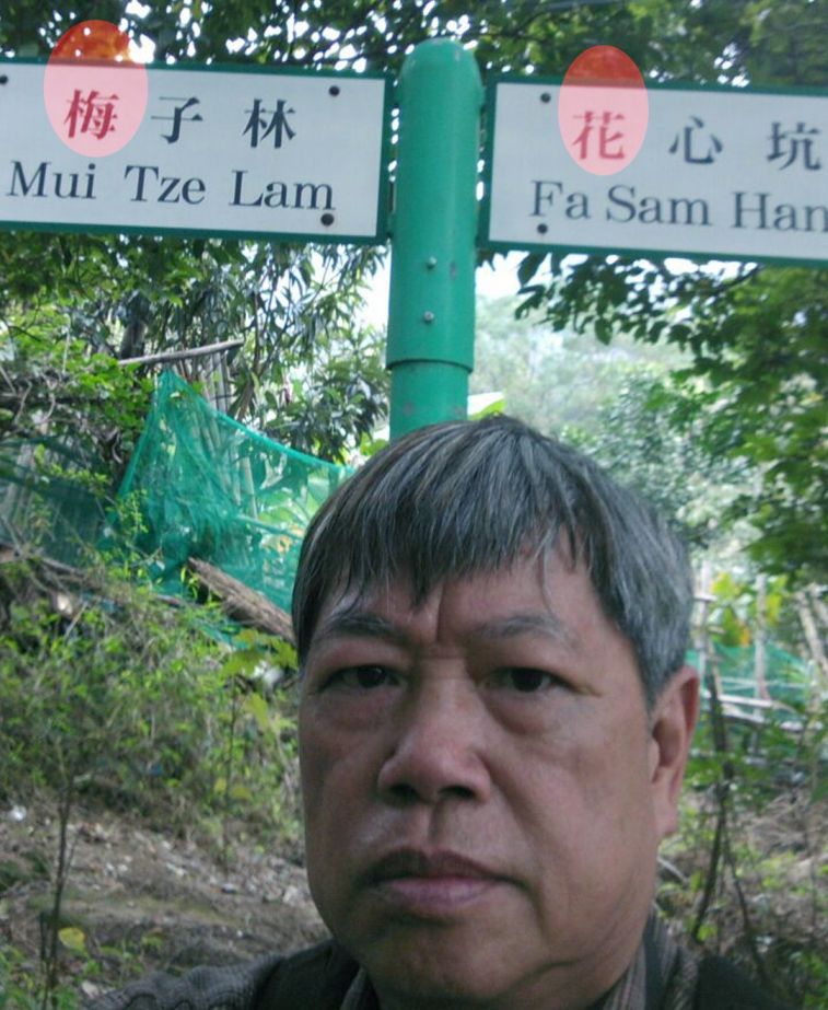 976.jpg