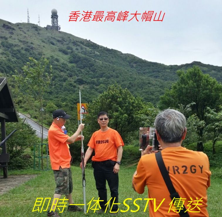 951.jpg
