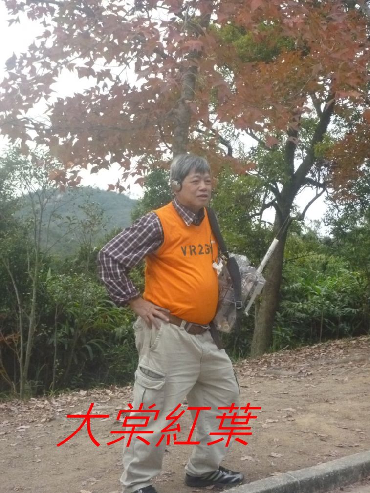 08-014 大棠紅葉.jpg