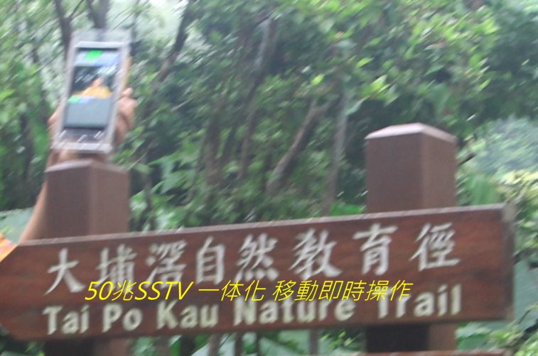 901.jpg