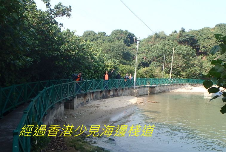 951.jpg