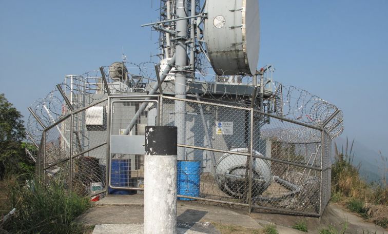 994.jpg