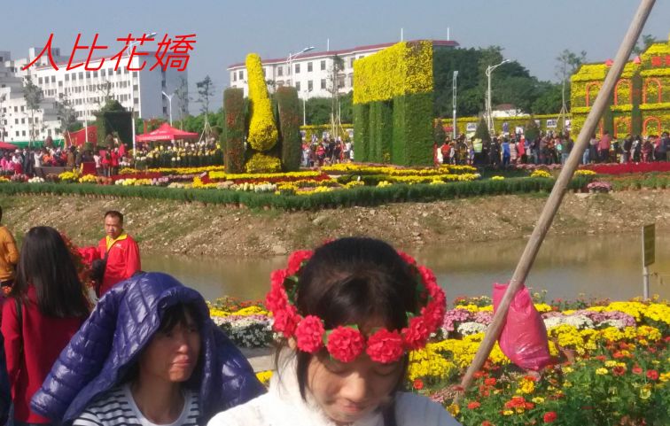936,.jpg