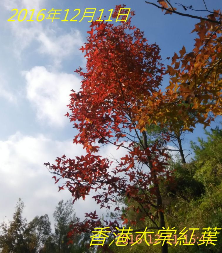 9948.jpg