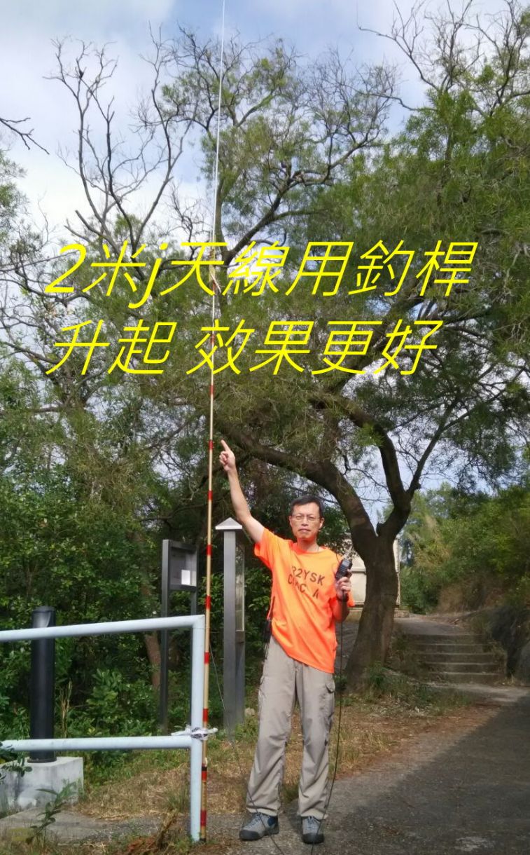 9916.jpg
