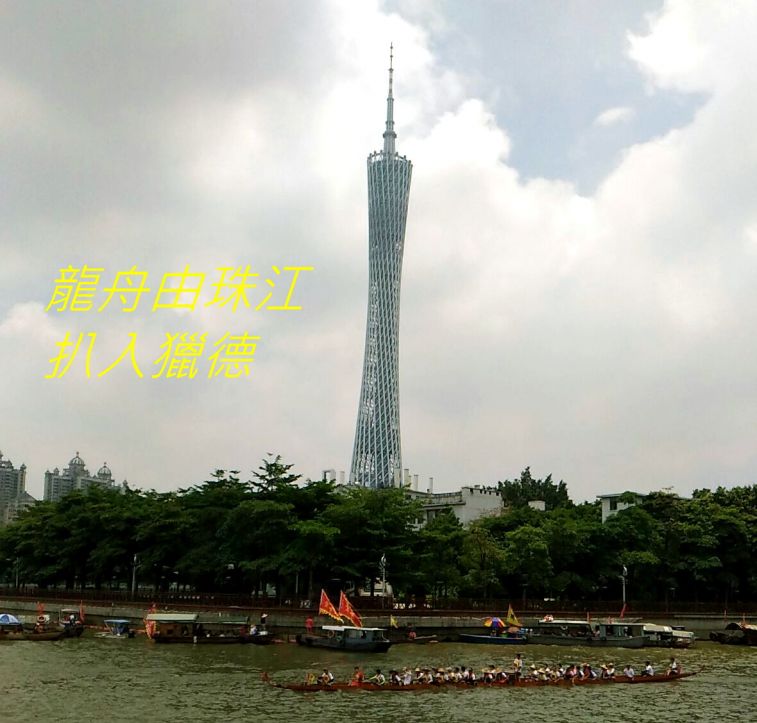 9863.jpg