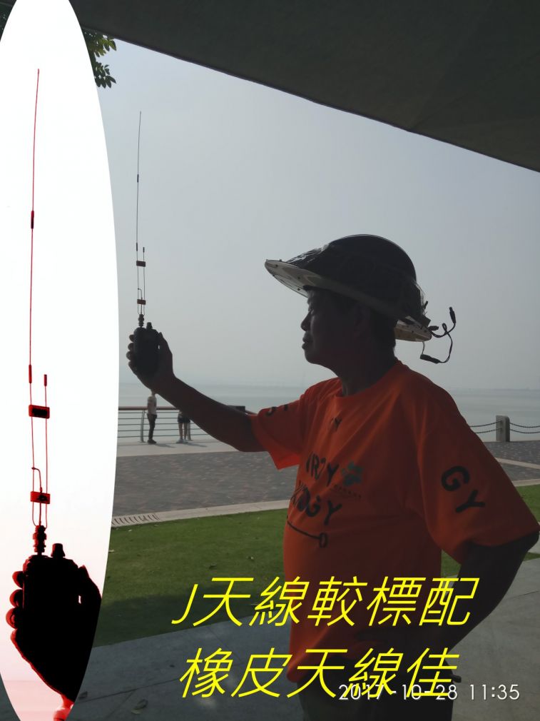 9761.jpg