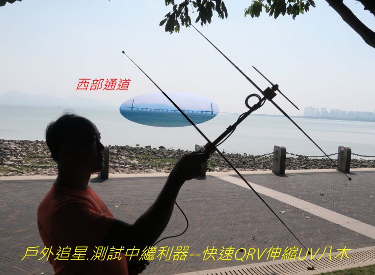 9700.jpg