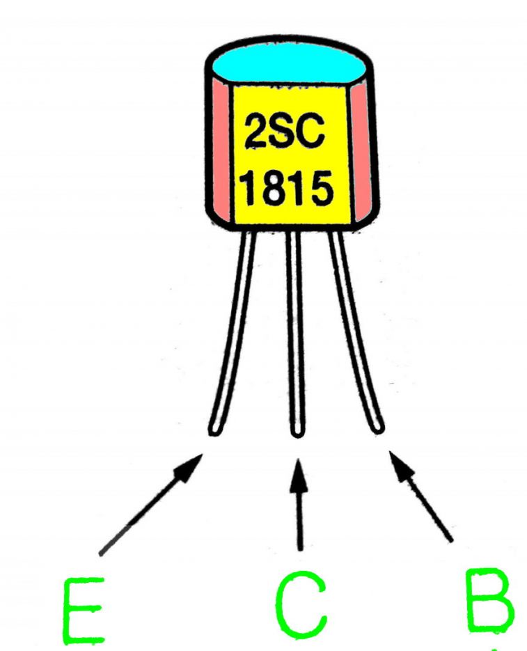 800-968.jpg
