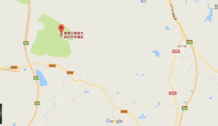 9981.jpg