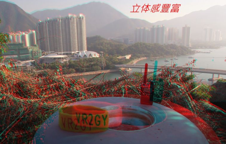 9873.jpg