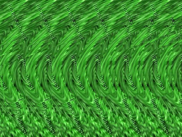 3086053-78115749b8be6091.jpg