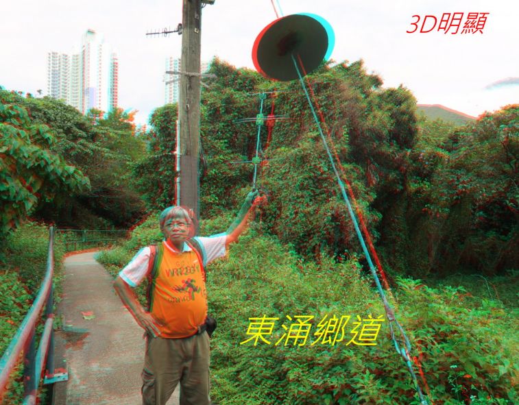 9714.jpg