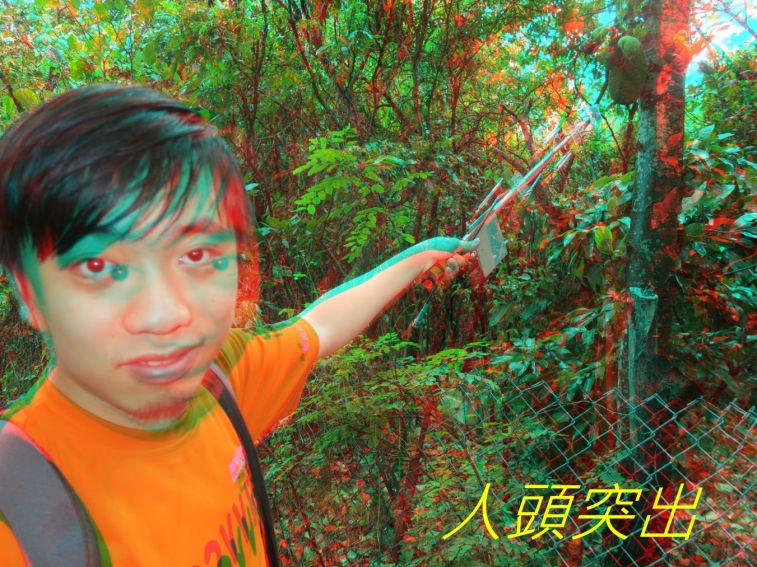 9708.jpg