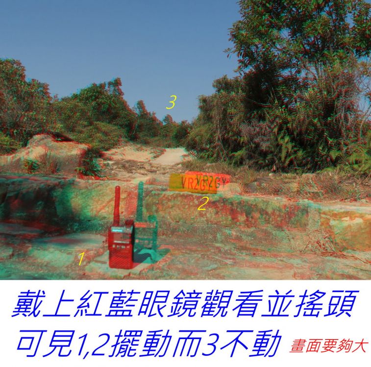 9753.jpg