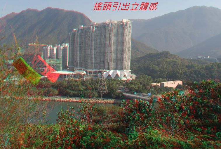 9737.jpg
