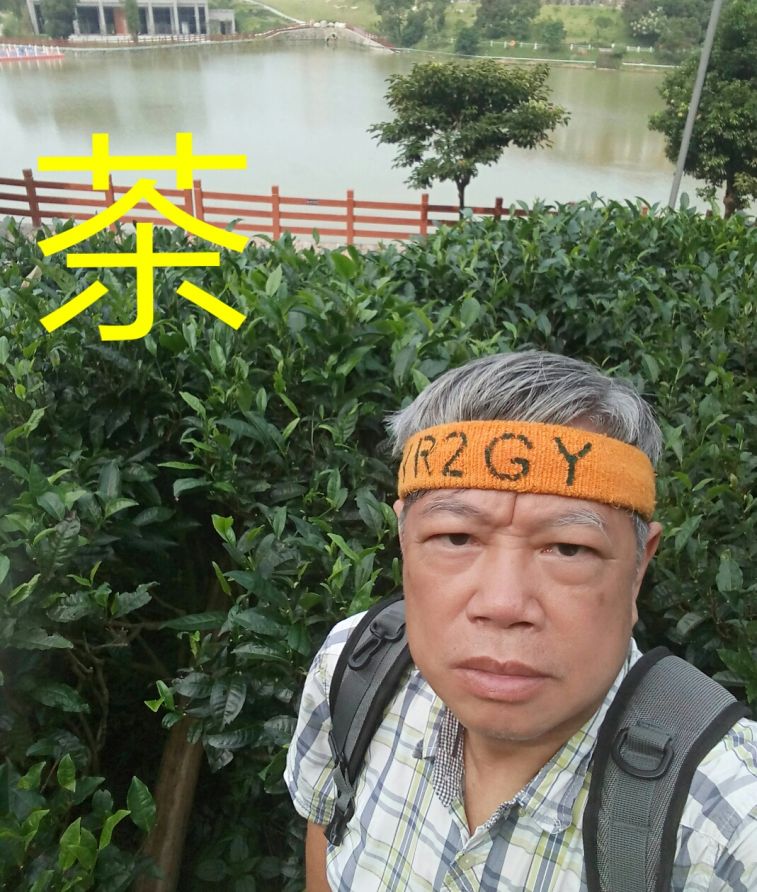 1535618943417_adobe.jpg