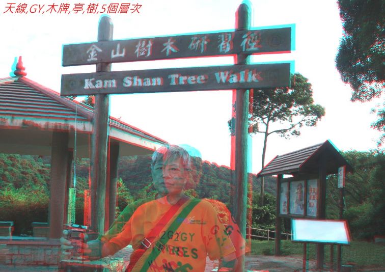 9999-87,,,.jpg