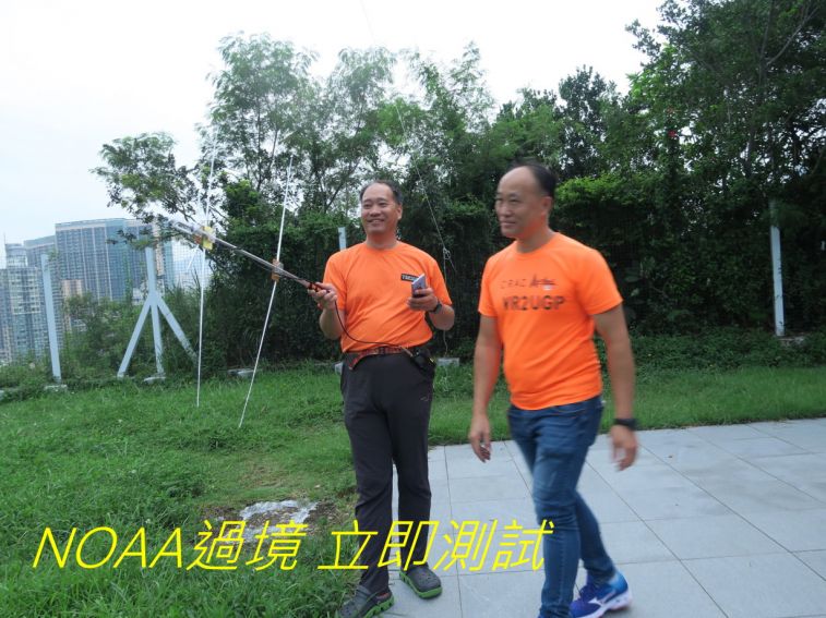9902.jpg