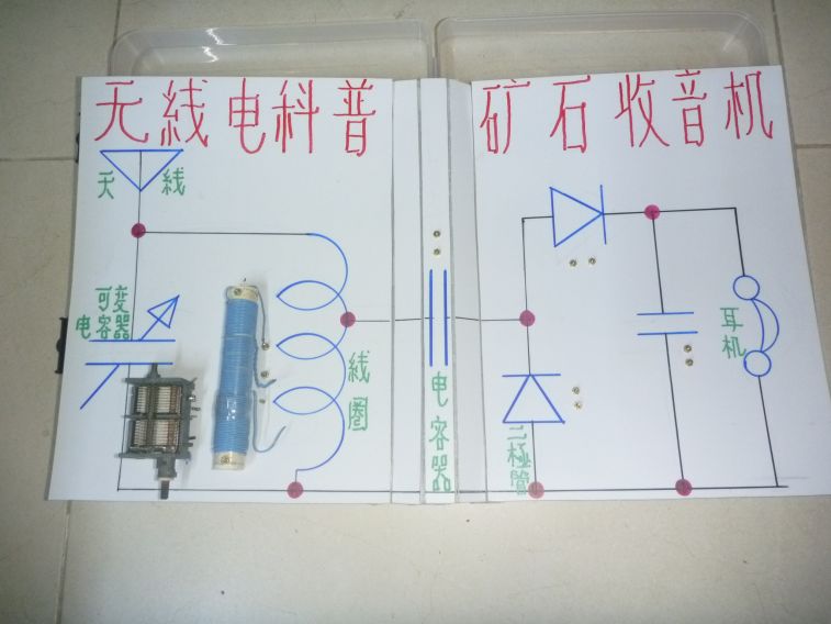 P1580103.JPG