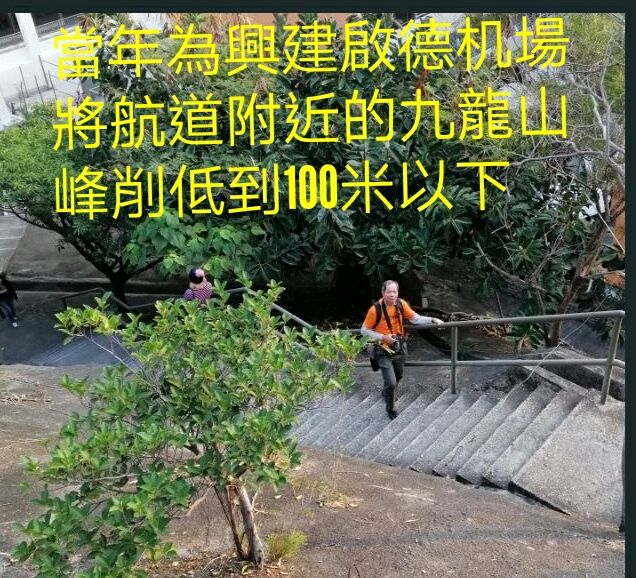 1548955692960_adobe.jpg